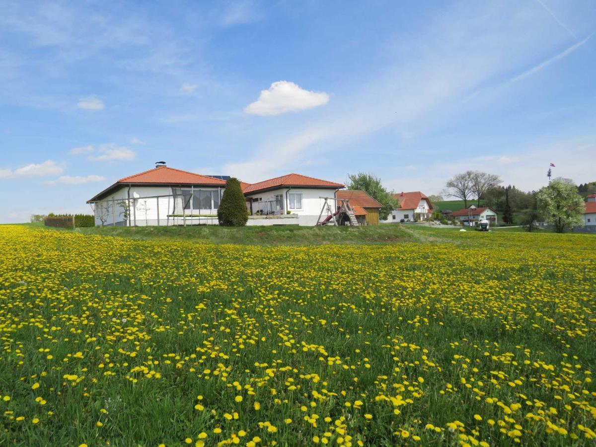 Traumferienhaus Xxl Ortner Wetzendorf Екстериор снимка